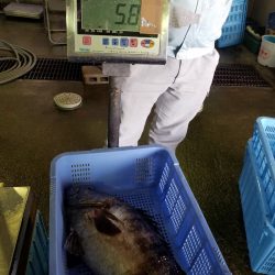 進誠丸 釣果