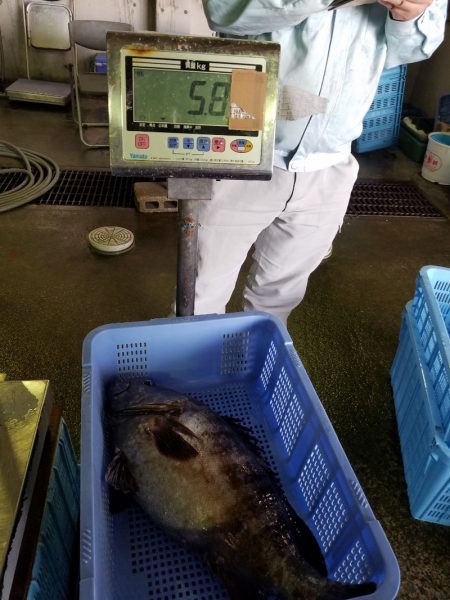 進誠丸 釣果