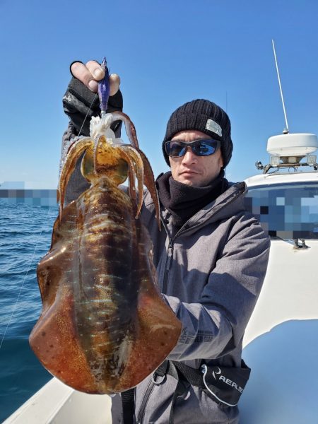 ソルトウォーターガイドフレンズ 釣果