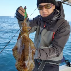 ソルトウォーターガイドフレンズ 釣果