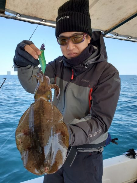 ソルトウォーターガイドフレンズ 釣果