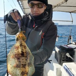 ソルトウォーターガイドフレンズ 釣果