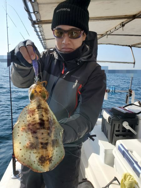 ソルトウォーターガイドフレンズ 釣果