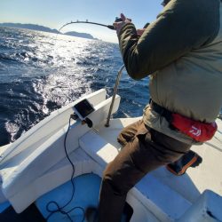 海晴丸 釣果