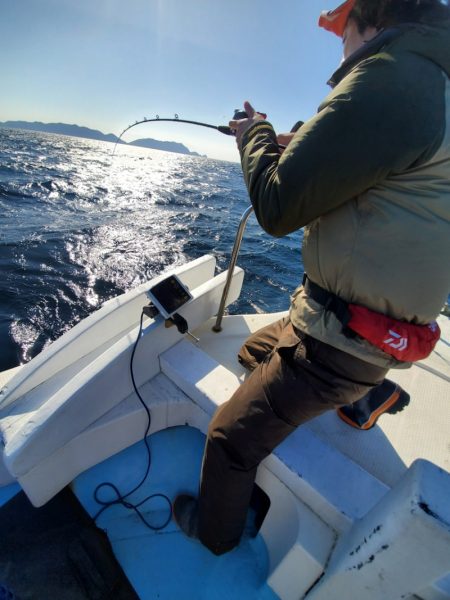 海晴丸 釣果