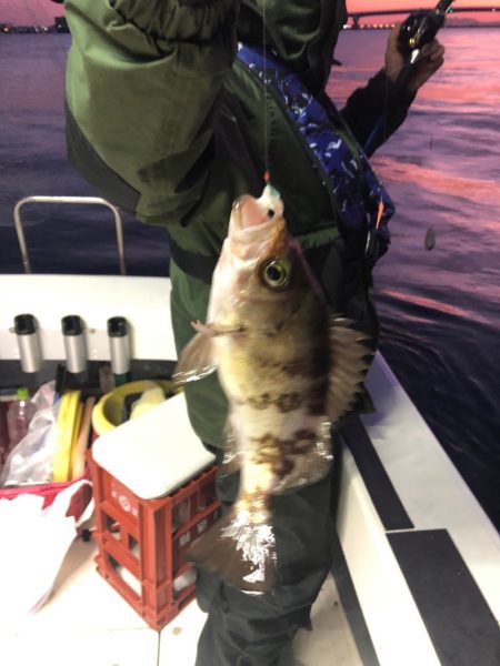 Ｖ−７ West 釣果