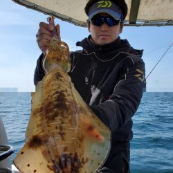 ソルトウォーターガイドフレンズ 釣果