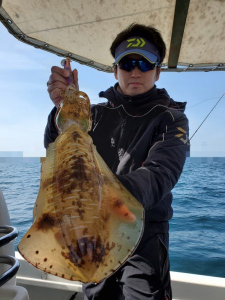 ソルトウォーターガイドフレンズ 釣果