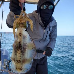 ソルトウォーターガイドフレンズ 釣果