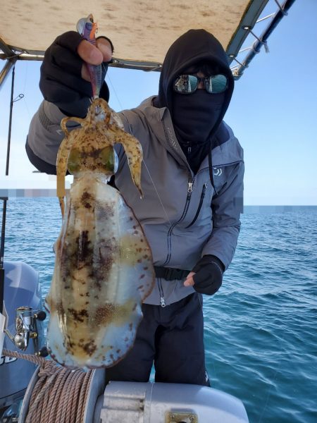 ソルトウォーターガイドフレンズ 釣果