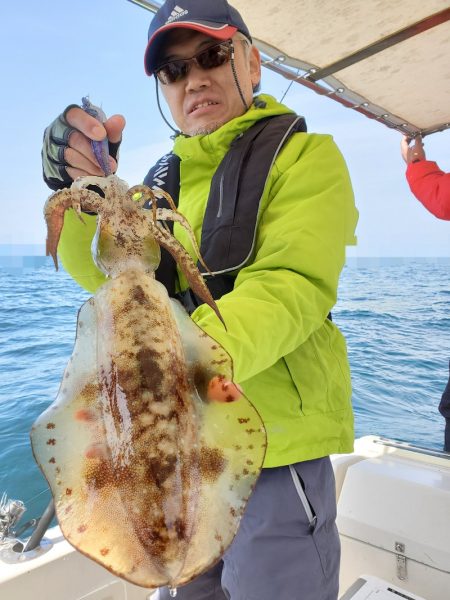 ソルトウォーターガイドフレンズ 釣果