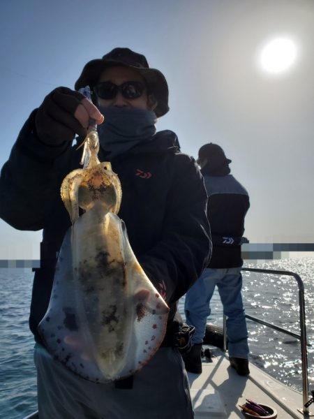 ソルトウォーターガイドフレンズ 釣果