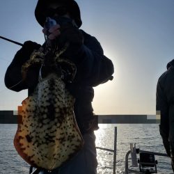 ソルトウォーターガイドフレンズ 釣果