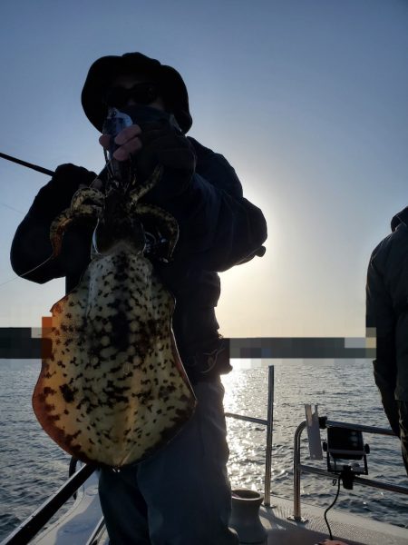 ソルトウォーターガイドフレンズ 釣果