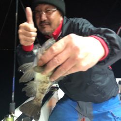 Ｖ−７ West 釣果