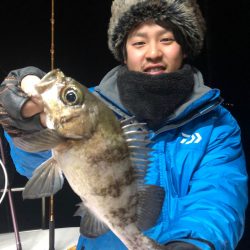 Ｖ−７ West 釣果