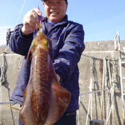 ブルースフィッシングサービス 釣果