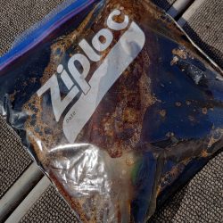 ブルースフィッシングサービス 釣果