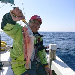 エンペラー 釣果