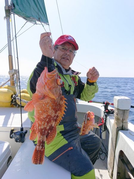 エンペラー 釣果