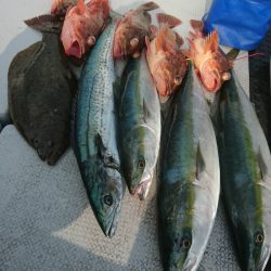 Soyamaru 釣果