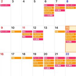 「LaGooN」蒼陽丸 日和号 釣果