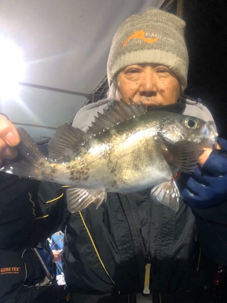 ヤザワ渡船 釣果