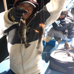 ヤザワ渡船 釣果