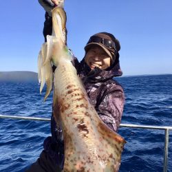 South Current 釣果