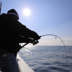 クルーズ 釣果