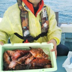 岡田釣船 八英丸 釣果