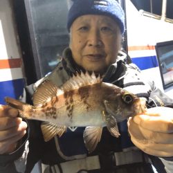 ヤザワ渡船 釣果
