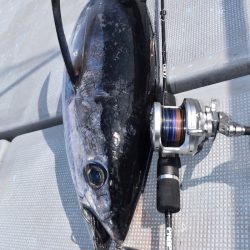 渡船屋たにぐち 釣果