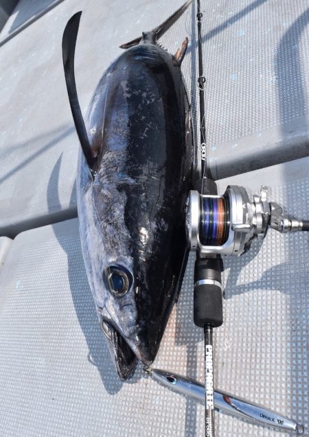 渡船屋たにぐち 釣果