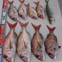 遊漁船 家入 釣果