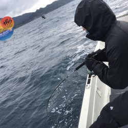 幕島丸 釣果
