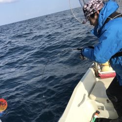 幕島丸 釣果