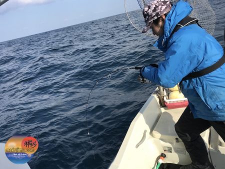幕島丸 釣果