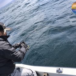 幕島丸 釣果