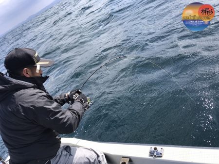 幕島丸 釣果