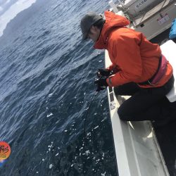 幕島丸 釣果