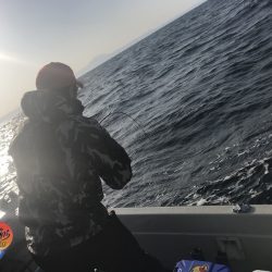 幕島丸 釣果