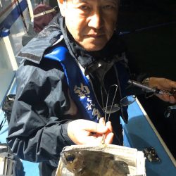 ヤザワ渡船 釣果