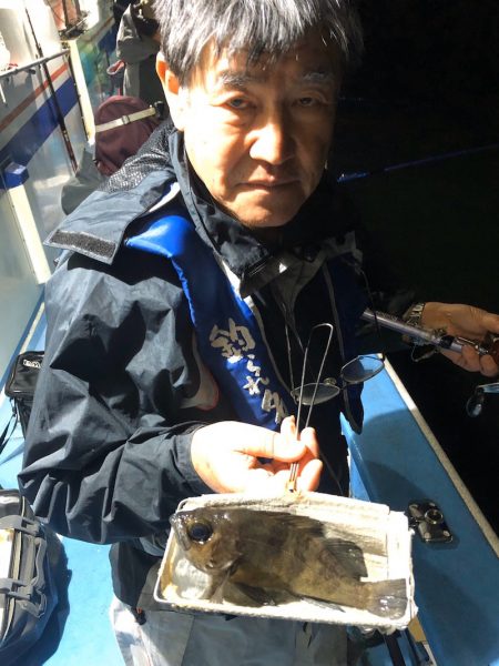 ヤザワ渡船 釣果