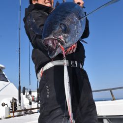 渡船屋たにぐち 釣果