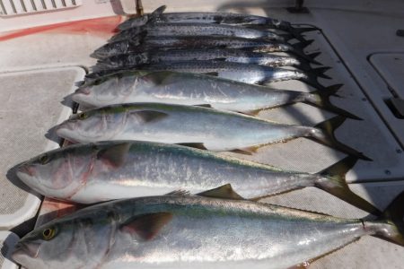 JDI Racing シールズマリンレジャー 釣果