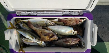 海龍丸（石川） 釣果