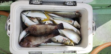 海龍丸（石川） 釣果