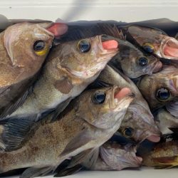 海龍丸（石川） 釣果