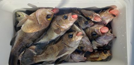 海龍丸（石川） 釣果